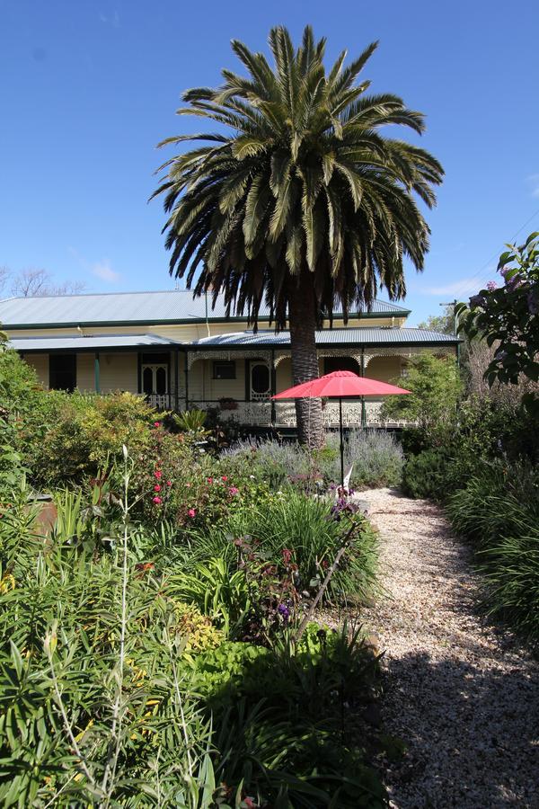 Palm House Bed & Breakfast Maldon Exterior photo